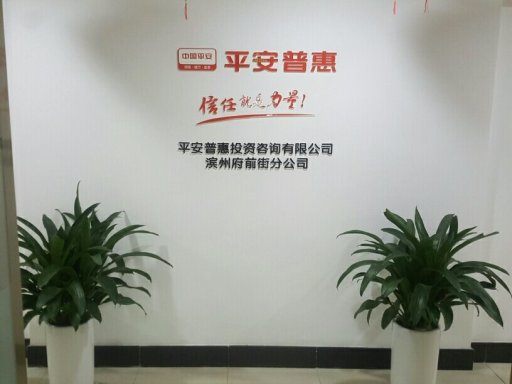 平安普惠投资咨询有限公司