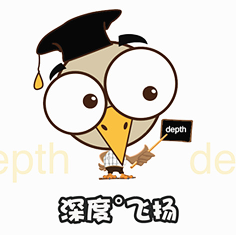 滨州深度飞扬文化发展有限公司